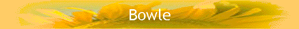 Bowle